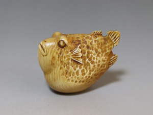 マンモス根付　河豚　ふぐ　フグ　提物　Netsuke 細密彫刻　東洋彫刻