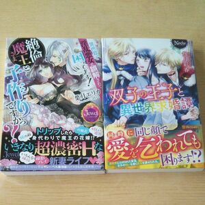 異世界で淫乱悪女と誤解されて困ってます！絶倫魔王さまと子作りですかっ？ （ジュエルブックス） 葉月エリカ／著