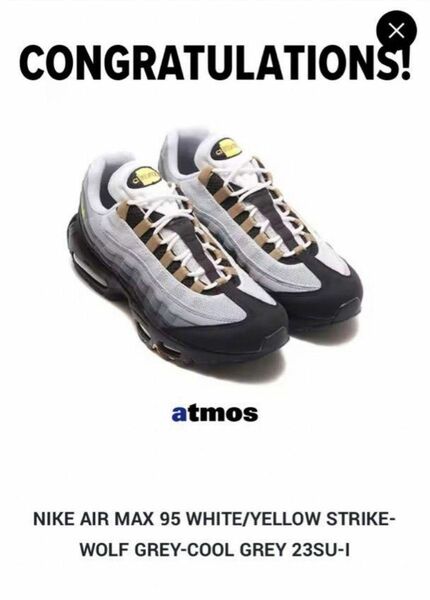 NIKE AIR MAX 95 エアーマックス95 アイコンズ