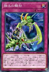 遊戯王カード 蝕みの鱗粉 ノーマル デュエリストパック レジェンドデュエリスト編2 DP19