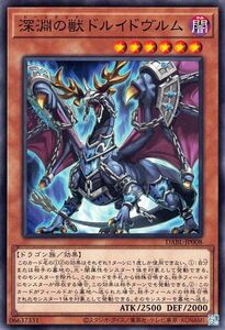 遊戯王カード 深淵の獣 ドルイドヴルム ノーマル ダークウィング・ブラスト DABL ビーステッド 効果モンスター 闇属性 ドラゴン族