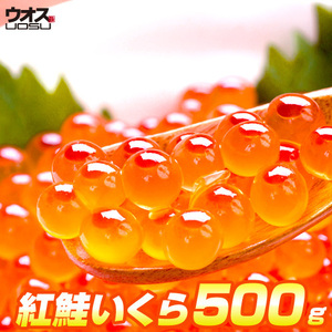 最安値挑戦！ いくら 醤油漬け 500g 粒は小さいけど味は抜群！ 紅鮭 イクラ 贈答 いくら丼 ひな祭り 桃の節句 お彼岸 母の日 父の日