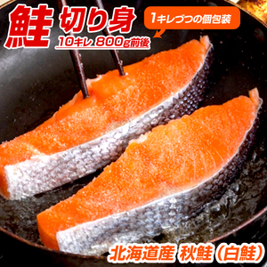 北海道産 鮭 切身 10キレ 送料0円 | 甘塩 秋鮭 白鮭 さけ しゃけ サケ 切身 シロサケ 秋鮭半身 白鮭半身 北海道産白鮭 国産鮭 国産白鮭