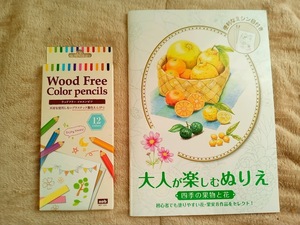 大人のぬりえ【2点セット 大人が楽しむぬりえ 四季の果物と花 色鉛筆】ぬり絵 塗り絵 桜 フルーツ フラワー 初心者に 認知症予防 脳トレ