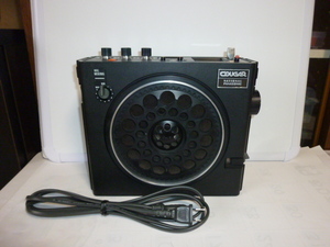 panasonic RF-888