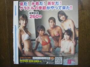 DVD　　橋本梨菜　葉月あや　犬童美乃梨　森咲智美　HOSHINO　麻亜子　RaMu　(a994-2）