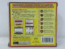 DY-035 未検品 DS用 プロアクションリプレイ MAX2 NINTENDO 任天堂 DSLite DS_画像2