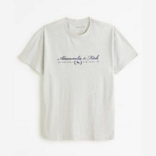 アバクロメンズの刺繍ロゴTシャツ★サイズM