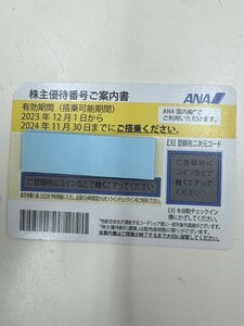 全日空　ANA株主優待券　有効期限：2024年11月30日 5302