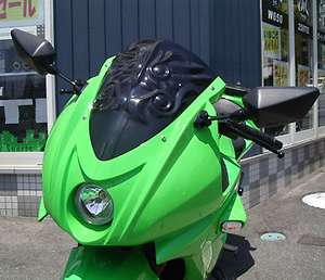 プレジャー　Ninja250R アーマードレリーフ　Type 1