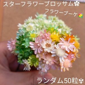 レジン ドライフラワー スターフラワーブロッサム　フラワーブーケ