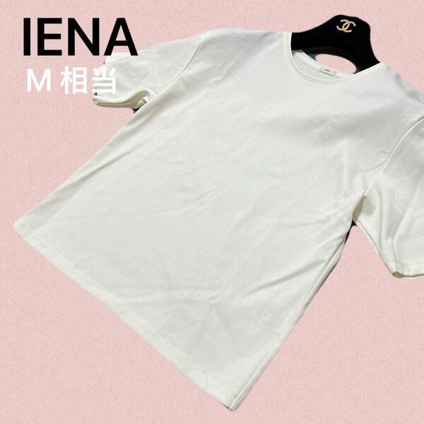 IENA イエナ 半袖 tシャツ 白 ホワイト M相当 シンプル トップス クルーネック カットソー 春夏