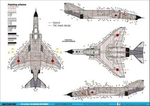 DXMデカール 51-7217 1/72 航空自衛隊 F-4EJ改 302飛行隊 ACM 2007 ウイナー_画像5