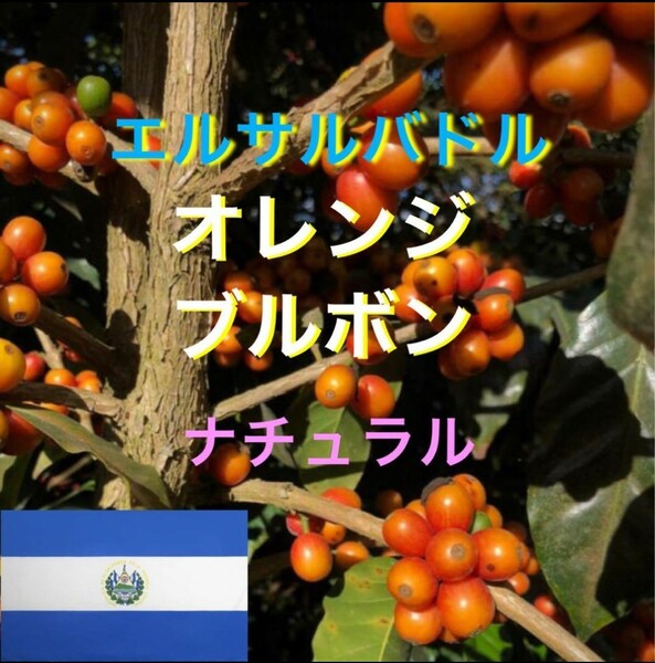 エルサルバドル　オレンジブルボン400gコーヒー生豆！焙煎してません！簡単なハンドピック済みです！