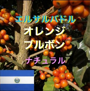 エルサルバドル　オレンジブルボンコーヒー生豆1000g焙煎してませんスペシャリティコーヒー！簡単なハンドピック済みです！