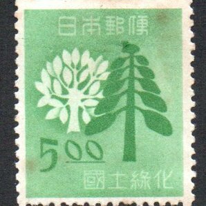切手 昭和24年 国土緑化 樹木の画像1