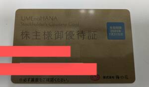 【梅の花】株主優待証20％割引/2024年7月31日迄 女性名義