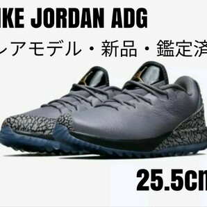 【レアカラー】NIKE ナイキ JORDAN ADG グレー 25.5cm