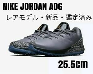 【レアカラー】NIKE ナイキ JORDAN ADG グレー 25.5cm