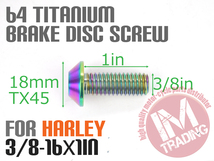 64チタン合金製 ブレーキディスクボルト ハーレー用 3/8-16×1in 5本 焼き色付き ダイナ ソフテイル スポーツスター等に◇_画像2