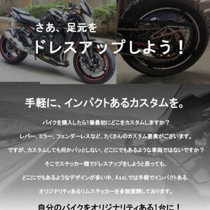 AXXL STD1 29色 リムステッカー CB1300SF CB1300SB CB1000 CB400SF CB400SB VTR1000 VTR250 ホーネット CBR900RR VFR1200 VFR800 CBR400RRの画像6