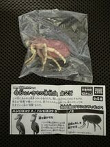 □タカラトミーアーツ新品□あそべる生物フィギュアシリーズ 奇妙ないきもの博物誌 第2頁「ノミ」_画像3