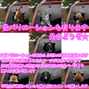カーステッカー トリックアート ステッカー シール 3D 車 カー用品 フレブル イヌ 犬 茶 フレンチ ブルドッグ ブルドック アクセサリー 窓の画像3