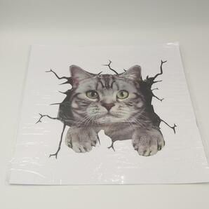 カーステッカー 猫 ねこ ネコ アメリカンショートヘア 動物 トリックアート ステッカー シール 3D 車 カー用品 アクセサリー 窓 インテリアの画像5
