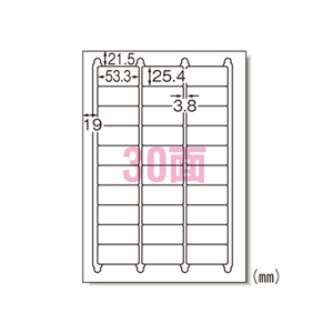 4906186311465 レーザーＰラベル30面100シート ＰＣ関連用品 ＯＡ用紙 プリンタラベル（レーザープリンタ用） エーワン 31146