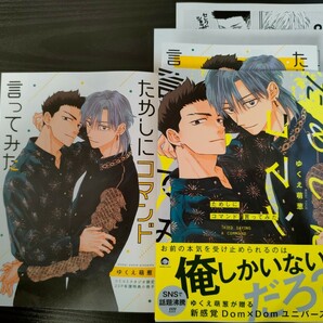 ■小冊子＆リーフレット＆ペーパー付/3月新刊/ゆくえ萌葱/ためしにコマンド言ってみた■の画像1