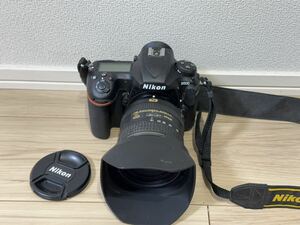 F164 Nikon ニコン D500 デジタル一眼レフカメラ ッAF-S DX NIKKOR 16-80mm 1:2.8-4E ED VR