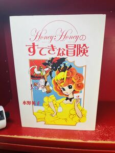 水野 英子 ハニー・ハニーのすてきな冒険　2006年初版　チクマ　ワイド版