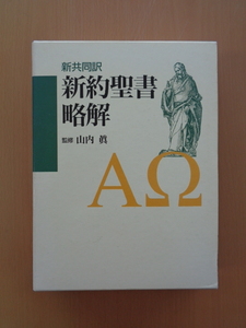 PL5219　新共同訳　新約聖書略解　　山内眞 監修　　日本キリスト教団出版局