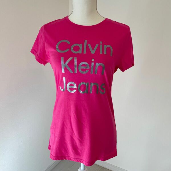 新品タグ付き　日本未入荷　Calvin Klein ロゴ Ｔシャツ 