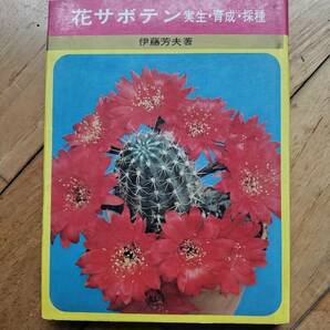 花サボテン 実生・育成・採種 伊藤芳夫著の画像1