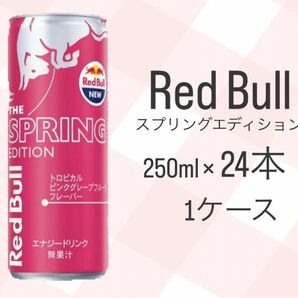 レッドブル スプリングエディション ピンクグレープフルーツ味 24本 1ケース