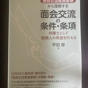 「面会交流実施要領」から理解する面会交流の条件・条項　弁護士として依頼人の希望を叶える 平田厚／著