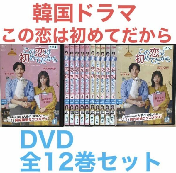 韓国ドラマ『この恋は初めてだから』DVD 全12巻セット 全巻セット　韓流