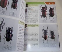 世界のクワガタG(ギネス) 図鑑 409種 stag beetle_画像6