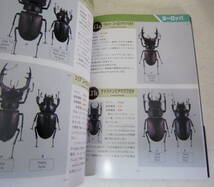 世界のクワガタG(ギネス) 図鑑 409種 stag beetle_画像7