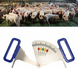 雌豚の背脂肪キャリパー、ステンレス鋼プラスチック製の雌豚の給餌管理ボディコンディション定規、5つの測定間隔、家族や養鶏場向けの養豚