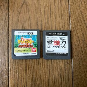 ＤＳ　デジモンストーリー　ロストエボリューション　大人の常識力トレーニングＤＳ　ソフトのみ2本セット　デジモンアドベンチャー