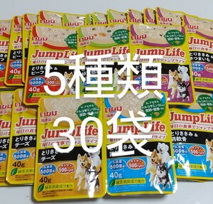 いなば JumpLifeパウチ40g 5種類15袋セット 毎日の食事にジャンプライフ 犬 グルコサミン ちゅーる 乳酸菌キトサン 