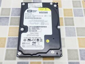 ∨ 250GB フォーマット済｜3.5インチ ハードディスク｜WD ウェスタンデジタル WD2500JS-19NCB1 WD2500JS｜SATA 内蔵型 ■N8476