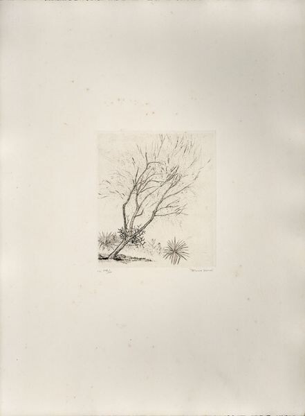 Yahoo!オークション -「駒井哲郎」(銅版画、エッチング) (版画 Yahoo!オークション -「駒井哲郎」(銅版画、エッチング) (版画