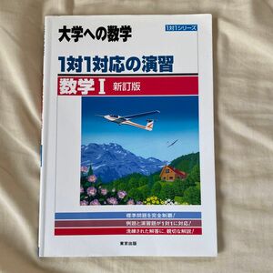 1対1対応の演習/数学Ⅰ 新訂版　大学への数学　大学受験　参考書