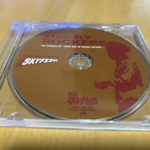 SKYFISH「Strictly Rockers Re: Chapter 28: New Age Of Ragga Hip Hop」の画像1