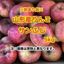 b4山形産りんご サンふじ 5kg〈訳あり家庭用〉_画像1