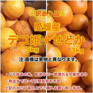 i5愛媛産デコ姫5kg+せとか3kg〈訳あり家庭用〉