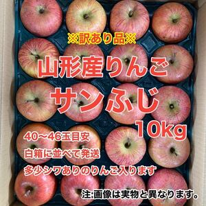 b1山形産りんごサンふじ 10kg〈訳あり家庭用〉